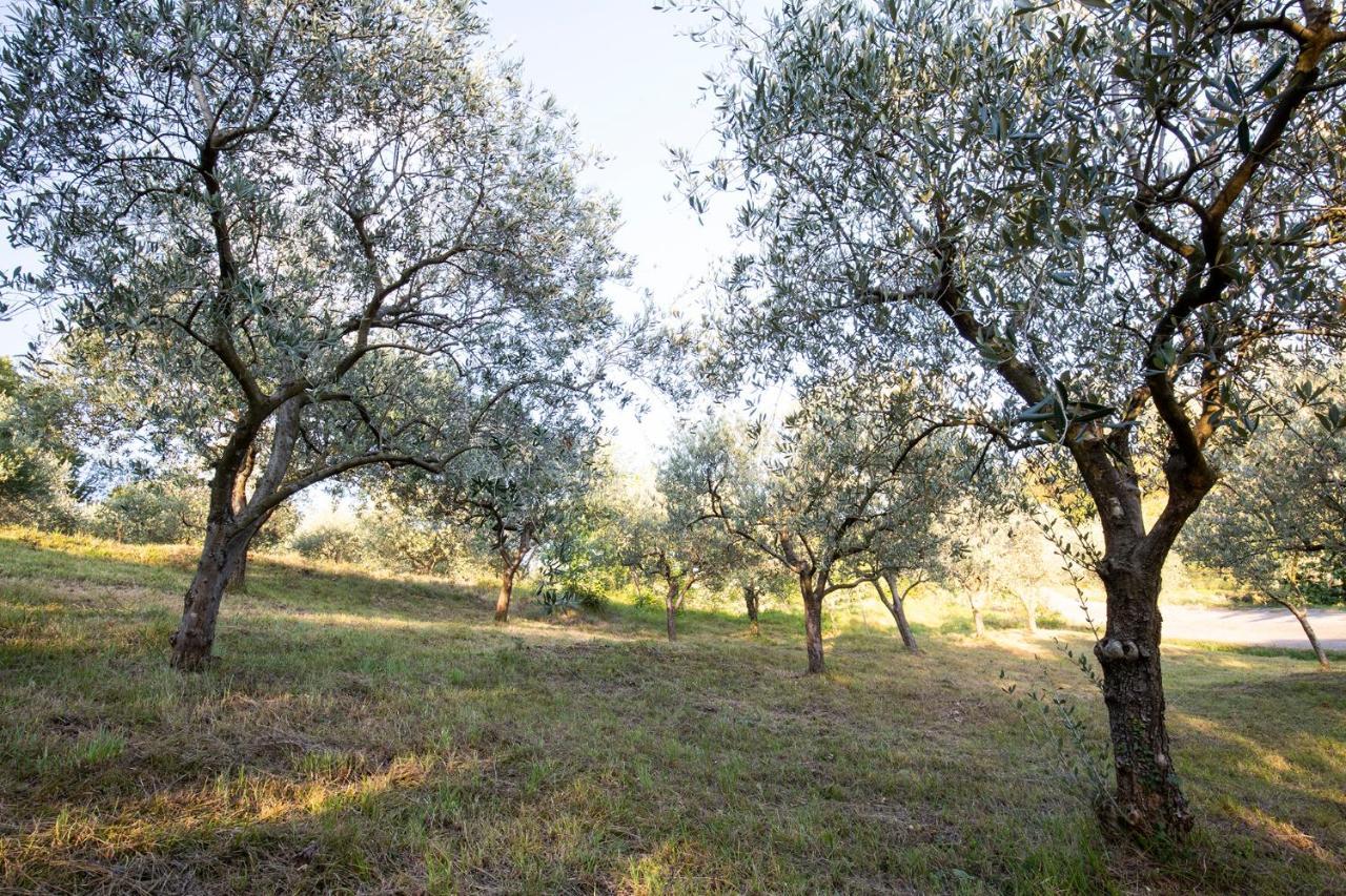 Agriturismo Valbare Βίλα Fregona Εξωτερικό φωτογραφία